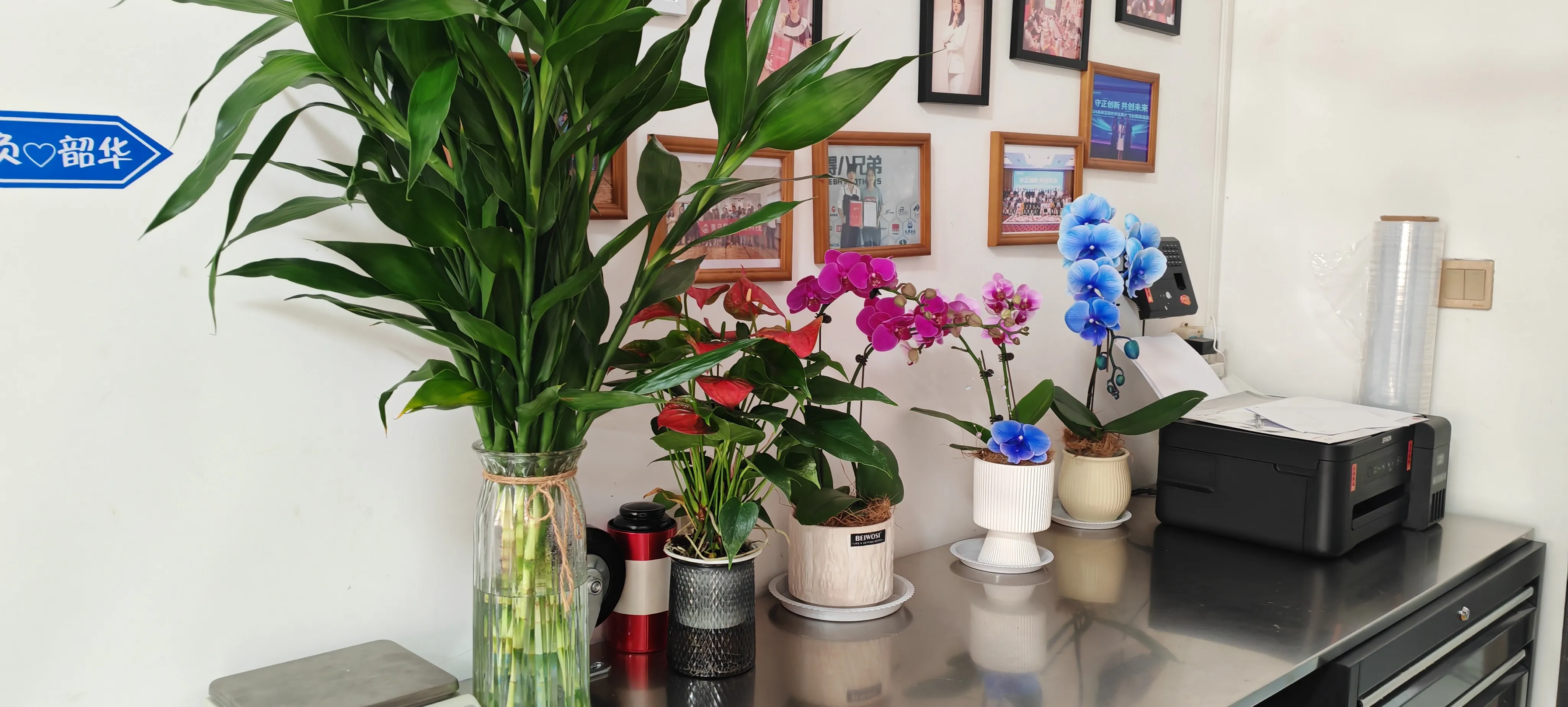 Welcome JOJO Pack's new friends!