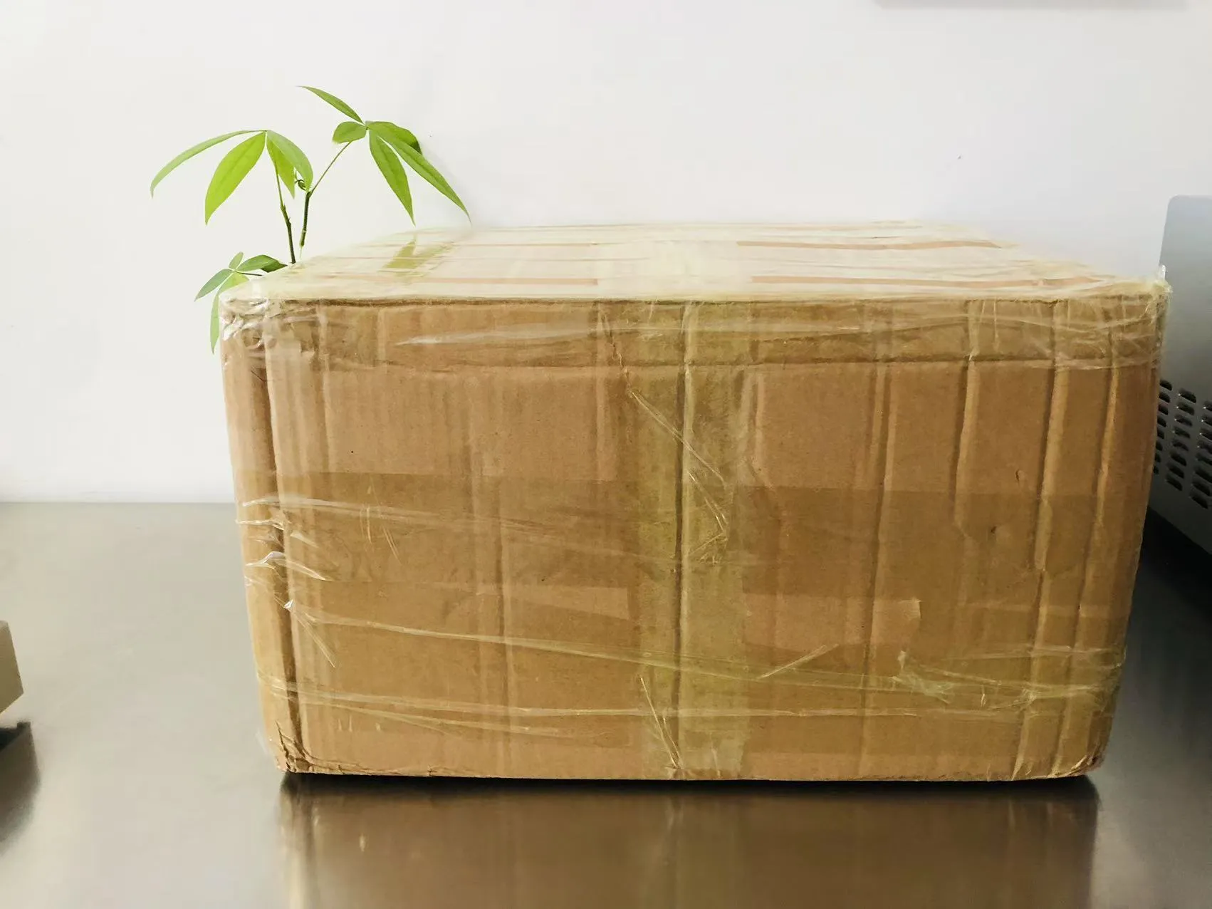 Cartoon Solid Epoxy Stickers Now on the Way to Japan